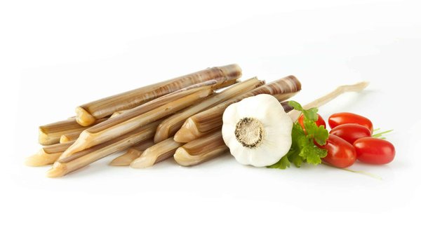 Quelle est la meilleure option de couteau électrique pour découper les rôtis et les volailles ?